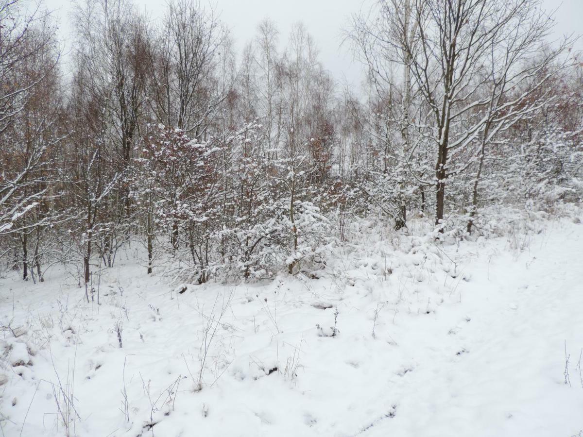 Pod Miotelka Влень Екстер'єр фото